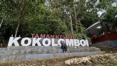Indikator 20_Program Kokolomboi Lestari di Desa Leme-Leme Darat Kecamatan Bungko, Kabupaten Banggai Kepulauan, Sulawesi Tengah